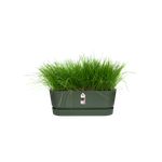 greenville trough long 50cm leaf green